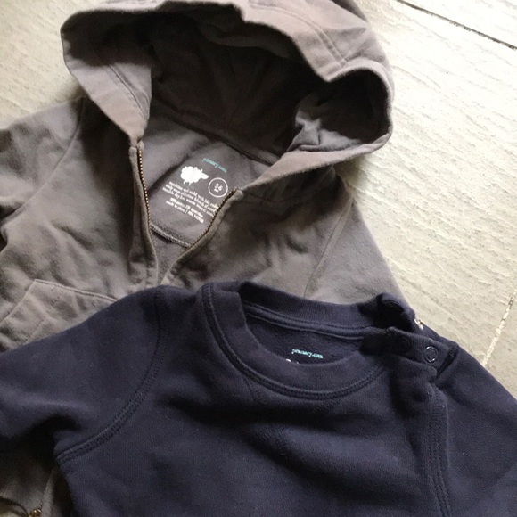 Primary Sweatshirt and Hoodie - Picture 2 of 4